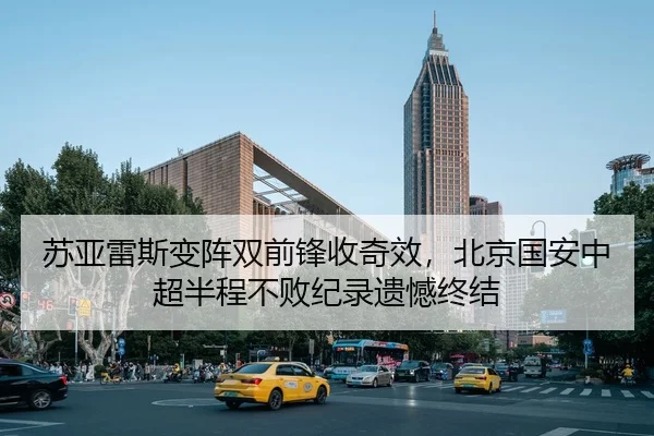 su-ya-lei-si-bian-zhen-shuang-qian-feng-shou-qi-xiao-bei-jing-guo-an-zhong-chao-ban-cheng-bu-bai-ji-lu-yi-han-zhong-jie-3-229.jpg
