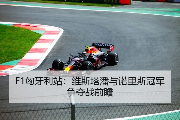 F1匈牙利站：维斯塔潘与诺里斯冠军争夺战前瞻