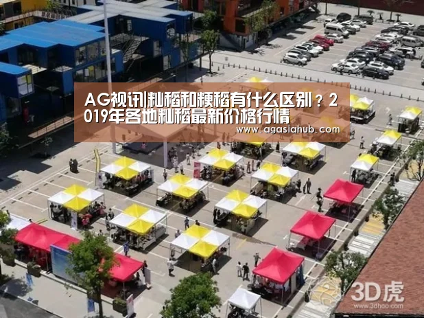 AG视讯|籼稻和粳稻有什么区别？2019